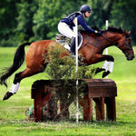 MAJYK EQUIPE® Eventing 4 Pack - (Fronts and Hinds) Boyd Martin Series - Majyk Equipe - Equiluxe Tack