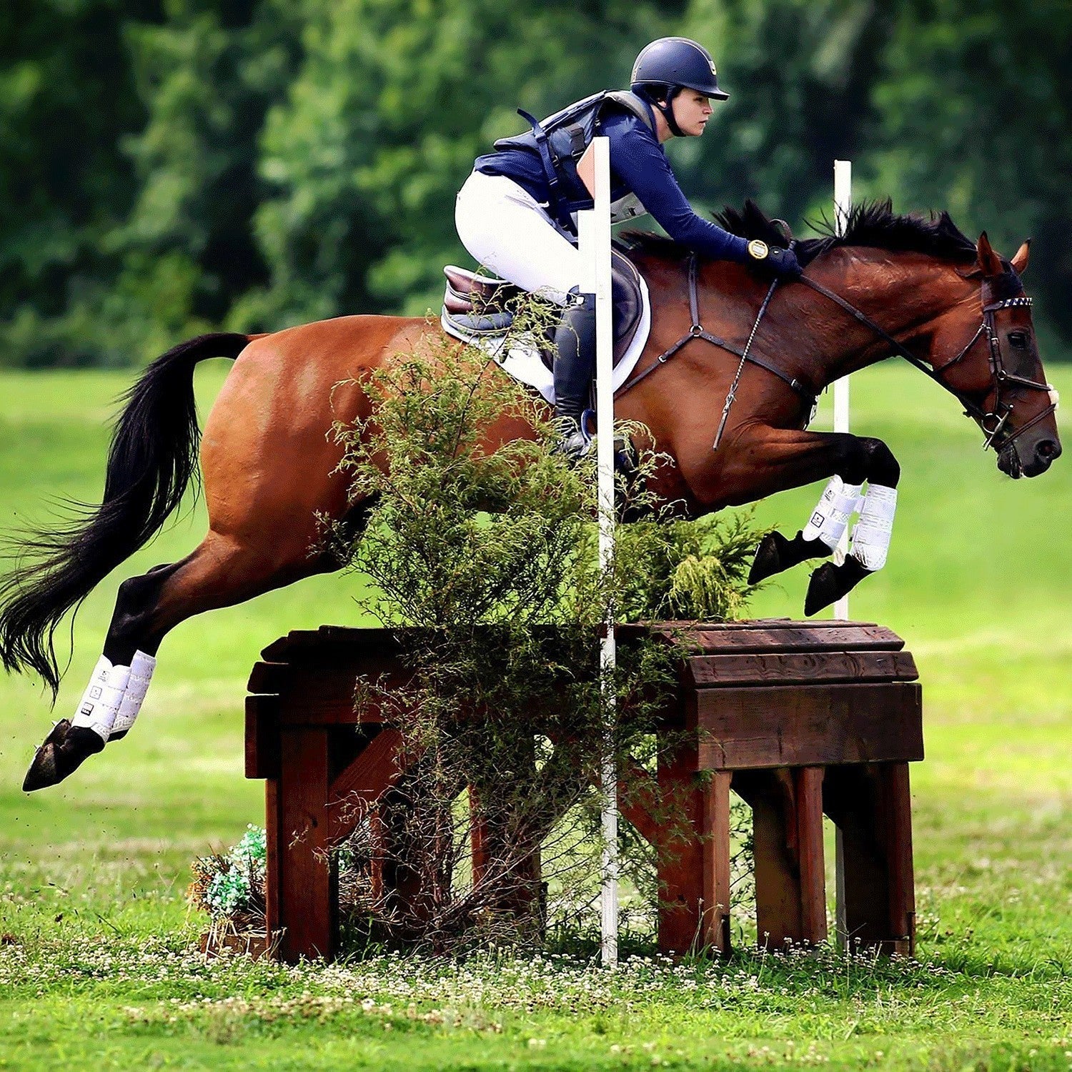 MAJYK EQUIPE® Eventing 4 Pack - (Fronts and Hinds) Boyd Martin Series - Majyk Equipe - Equiluxe Tack