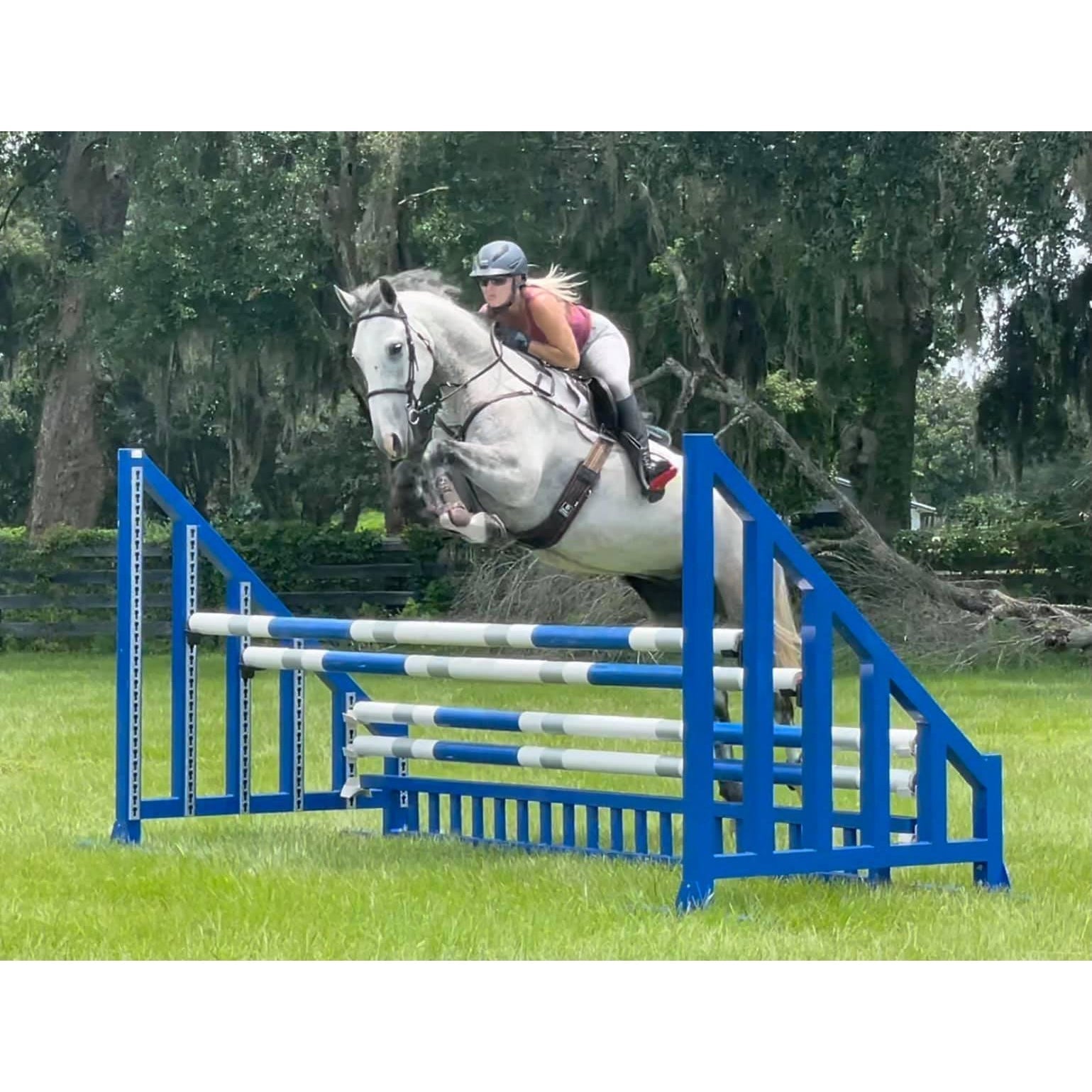 Majyk Equipe Hi - Efficiency All Purpose Girth with removable neoprene - free liner - Majyk Equipe - Equiluxe Tack