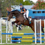 Majyk Equipe Infinity Fetlock Boots with ARTi - LAGE Technology (FEI Young Horse Compliant) - Majyk Equipe - Equiluxe Tack