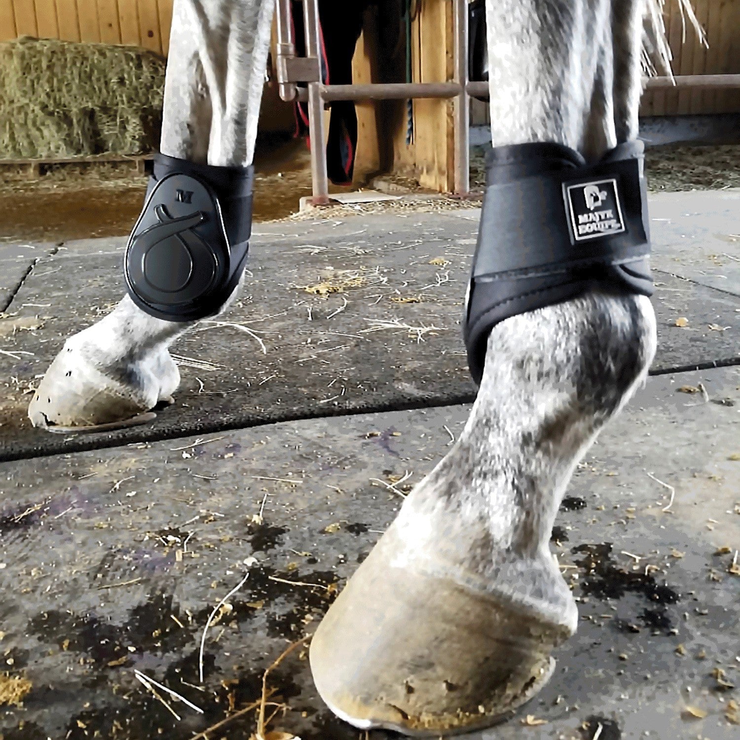 Majyk Equipe Infinity Fetlock Boots with ARTi - LAGE Technology (FEI Young Horse Compliant) - Majyk Equipe - Equiluxe Tack