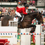 Majyk Equipe Leather Equitation Tendon Boot with Impact Protective Removable Liners (Buckle Closures) - Majyk Equipe - Equiluxe Tack