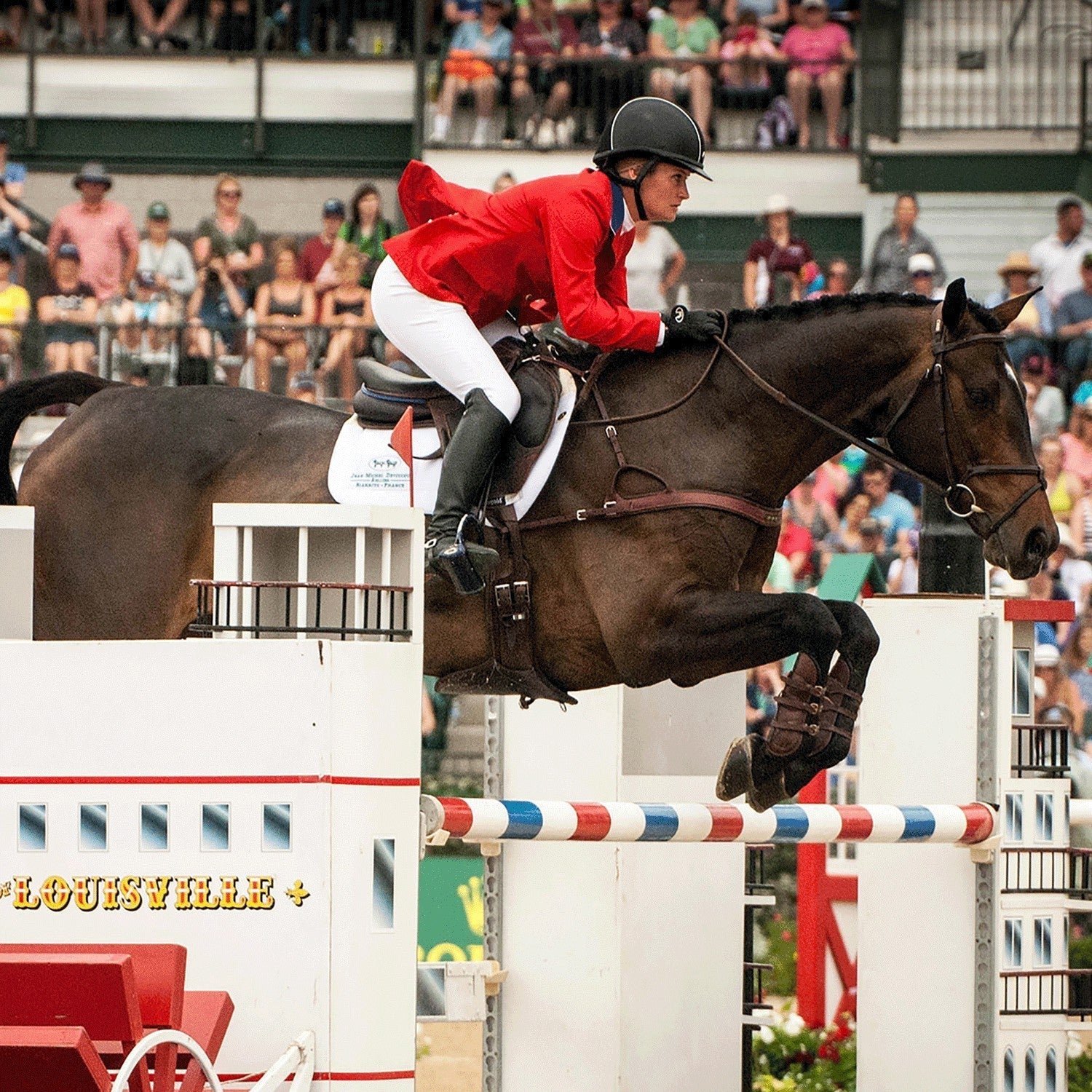 Majyk Equipe Leather Equitation Tendon Boot with Impact Protective Removable Liners (Buckle Closures) - Majyk Equipe - Equiluxe Tack