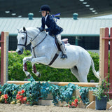 Majyk Equipe Leather Equitation Tendon Boot with Impact Protective Removable Liners (Buckle Closures) - Majyk Equipe - Equiluxe Tack