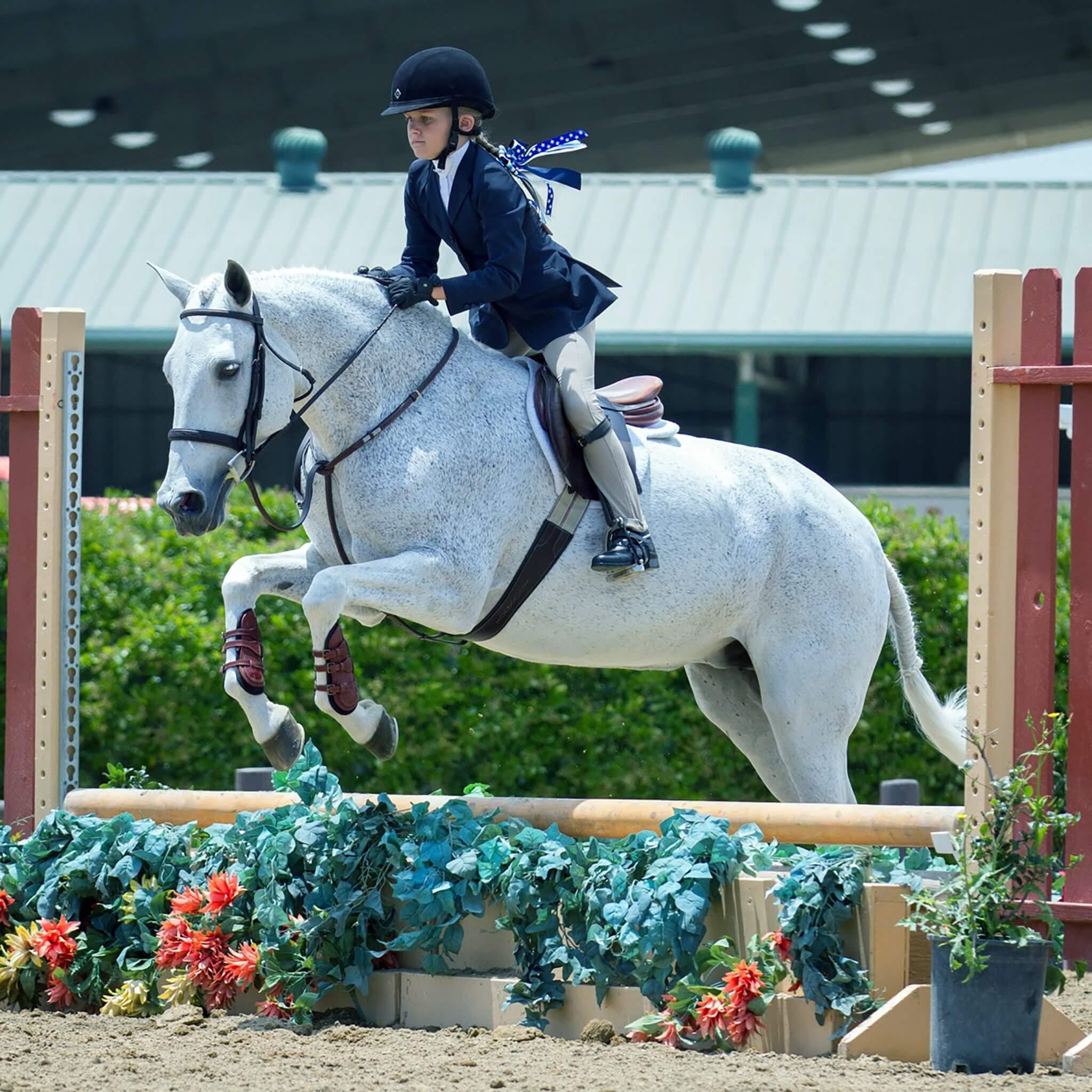 Majyk Equipe Leather Equitation Tendon Boot with Impact Protective Removable Liners (Buckle Closures) - Majyk Equipe - Equiluxe Tack