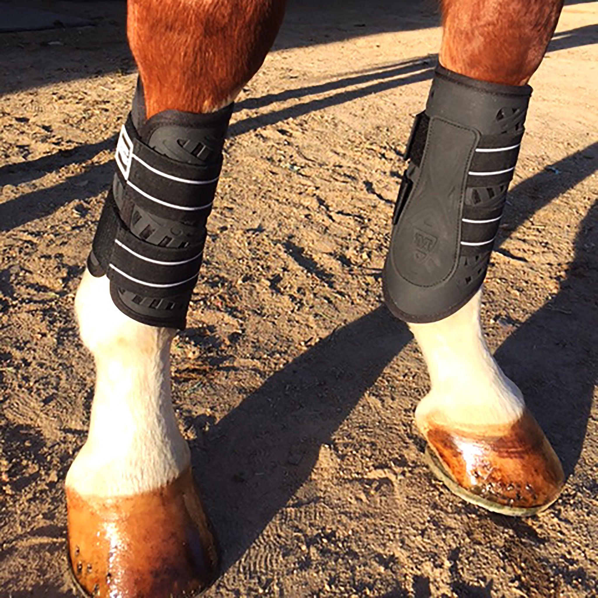 Majyk Equipe Sport Boot (Dressage) - Majyk Equipe - Equiluxe Tack