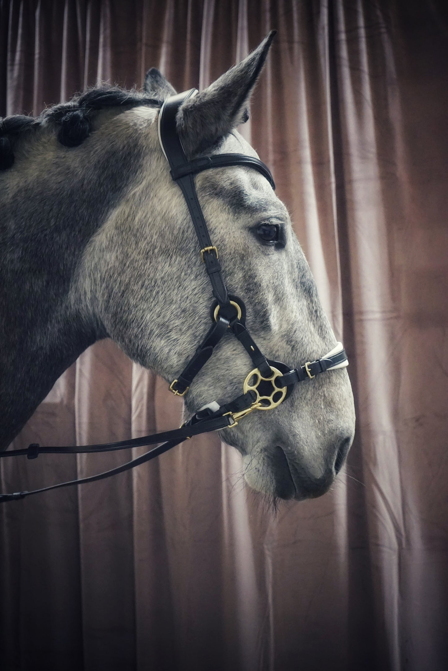 Masego Bella Starwheel Hackamore Bridle - Black & White - MASEGO horsewear - Equiluxe Tack