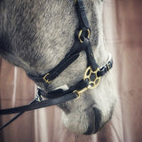 Masego Bella Starwheel Hackamore Bridle - Black & White - MASEGO horsewear - Equiluxe Tack