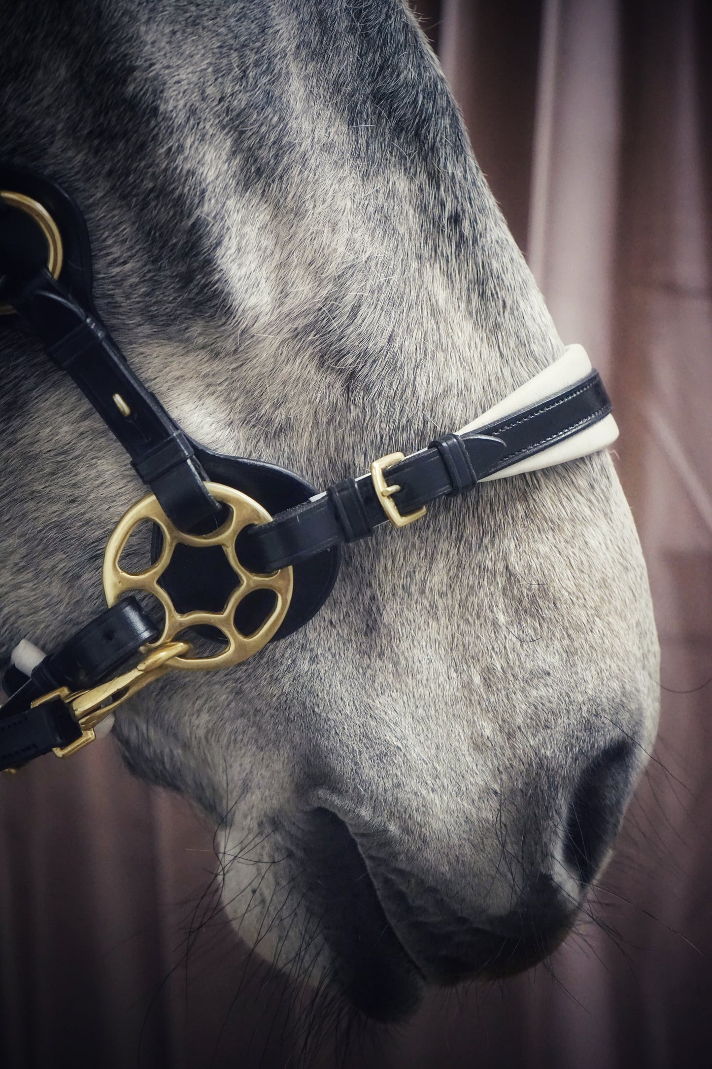 Masego Bella Starwheel Hackamore Bridle - Black & White - MASEGO horsewear - Equiluxe Tack