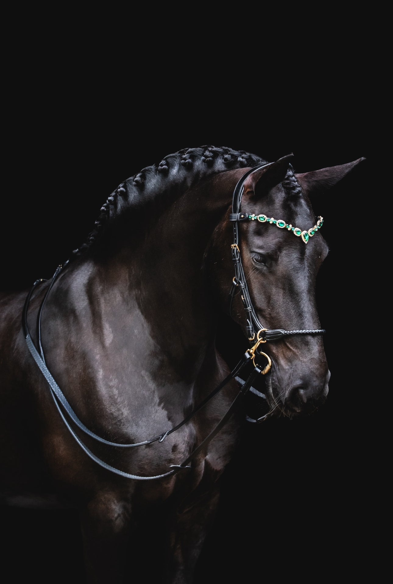 Masego Grace Multi Bit or Bitless Bridle - Italian Leather - MASEGO horsewear - Equiluxe Tack