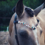 Masego Horsewear 'Ania' Browband - MASEGO horsewear - Equiluxe Tack