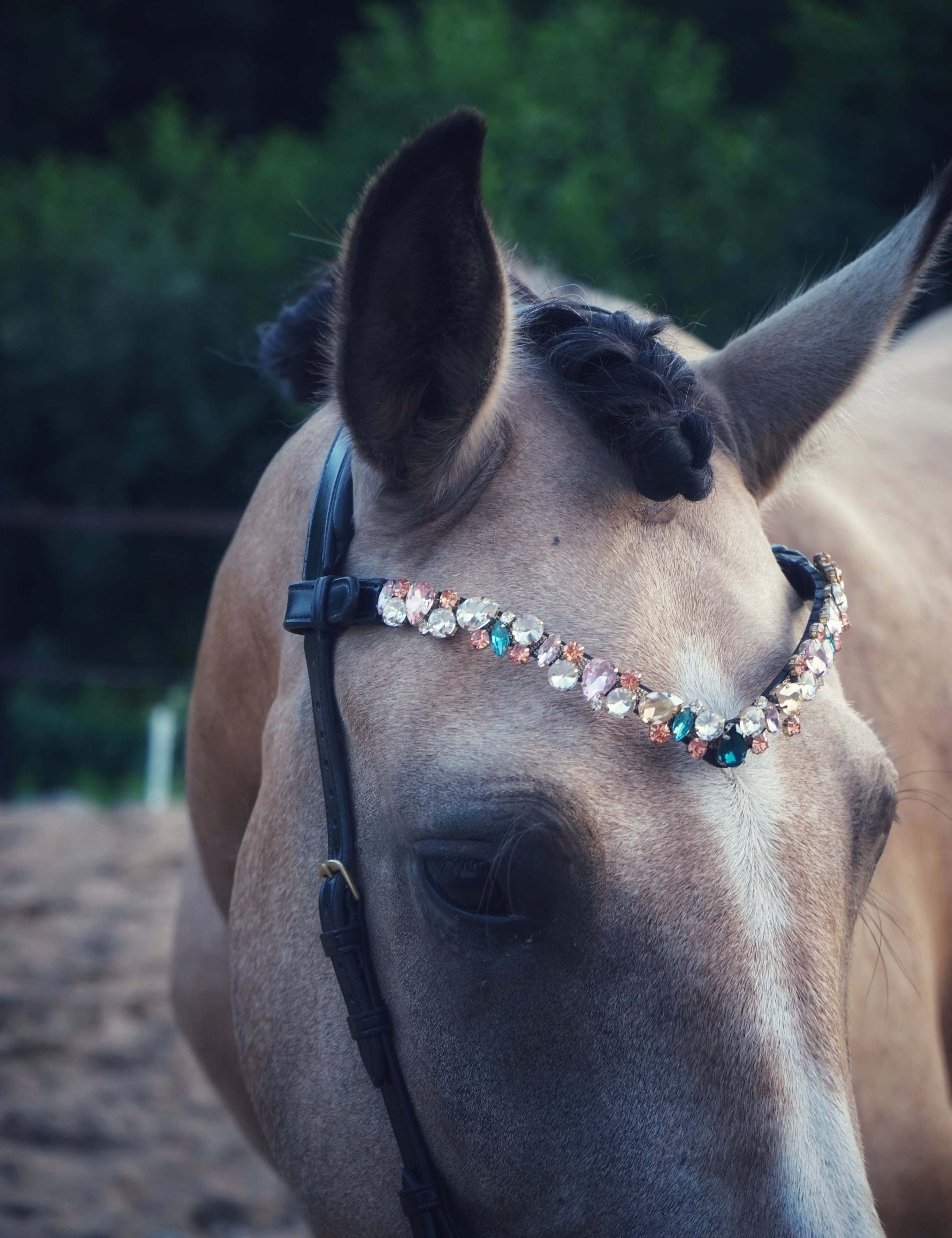 Masego Horsewear 'Ania' Browband - MASEGO horsewear - Equiluxe Tack