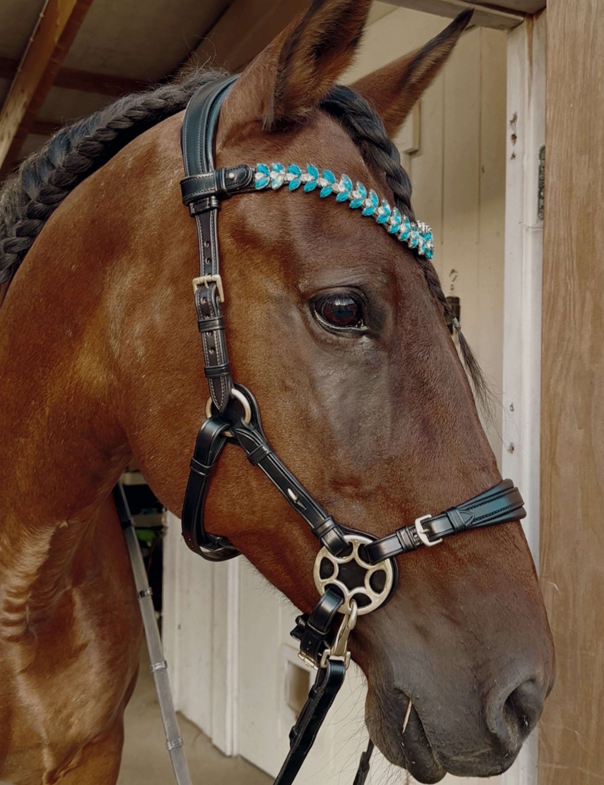 Masego Horsewear Bella Starwheel Hackamore - Black - MASEGO horsewear - Equiluxe Tack