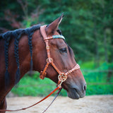 Masego Horsewear Bella Starwheel Hackamore - Cognac - MASEGO horsewear - Equiluxe Tack