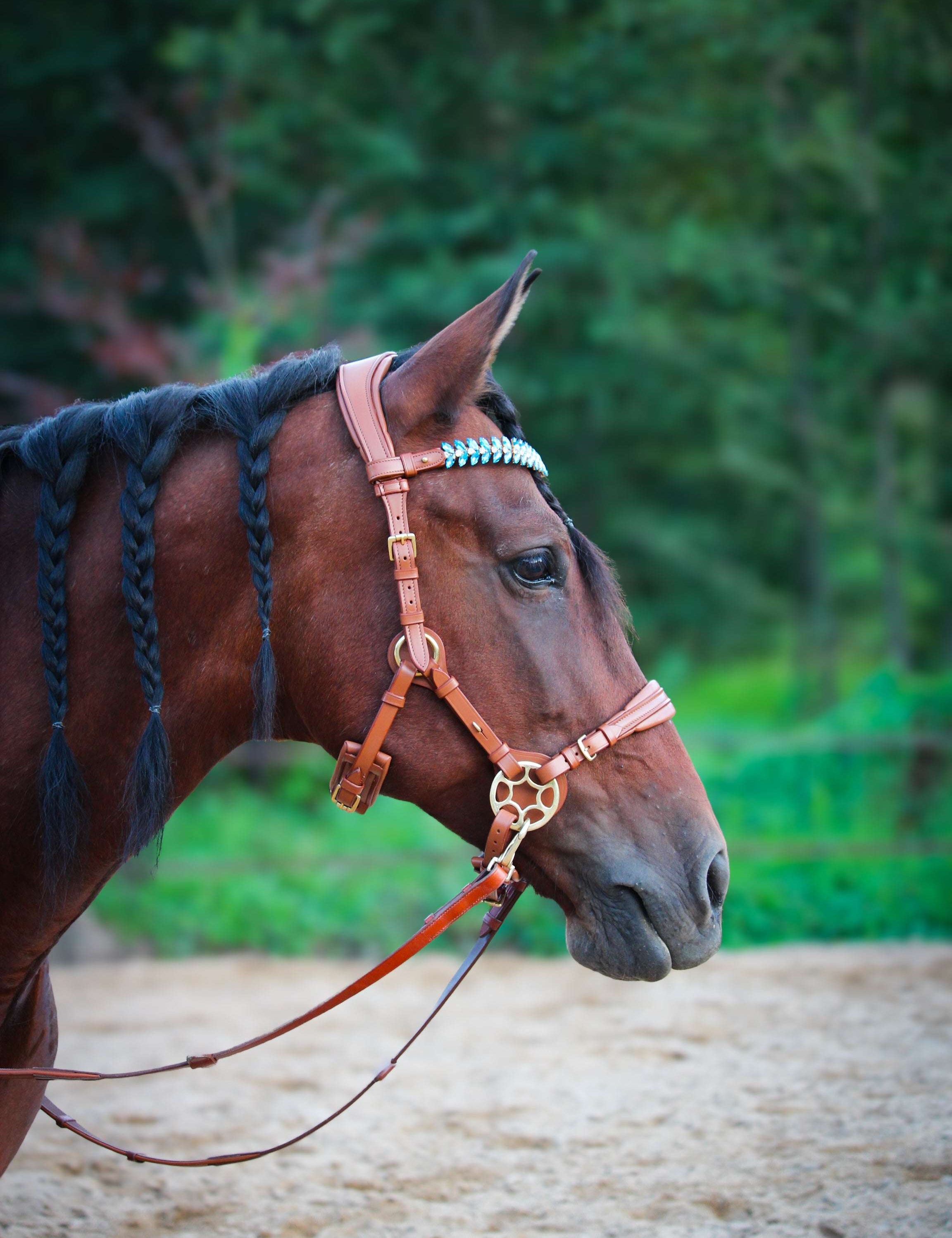 Masego Horsewear Bella Starwheel Hackamore - Cognac - MASEGO horsewear - Equiluxe Tack