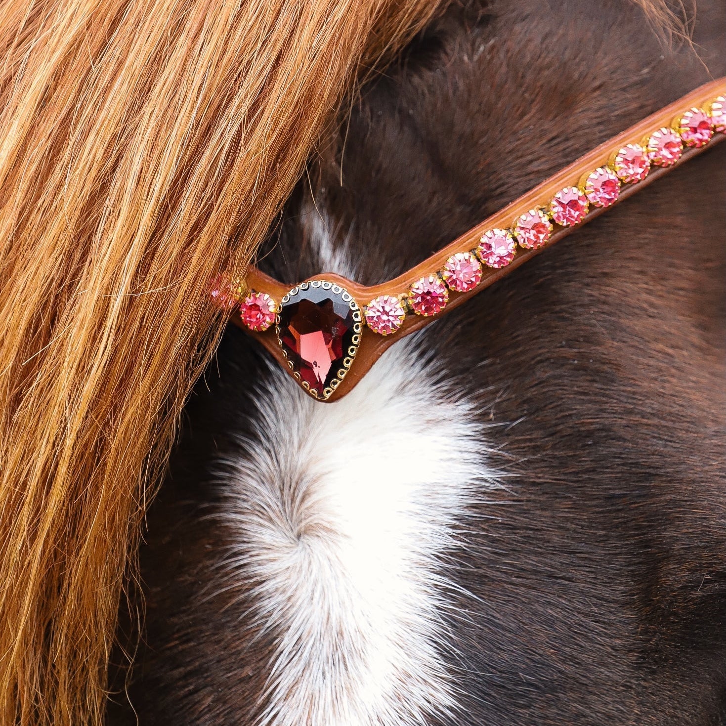 Masego Horsewear Cherry Diamond Browband - MASEGO horsewear - Equiluxe Tack