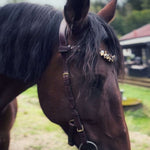 Masego Horsewear Coco Bridle - No Noseband - MASEGO horsewear - Equiluxe Tack