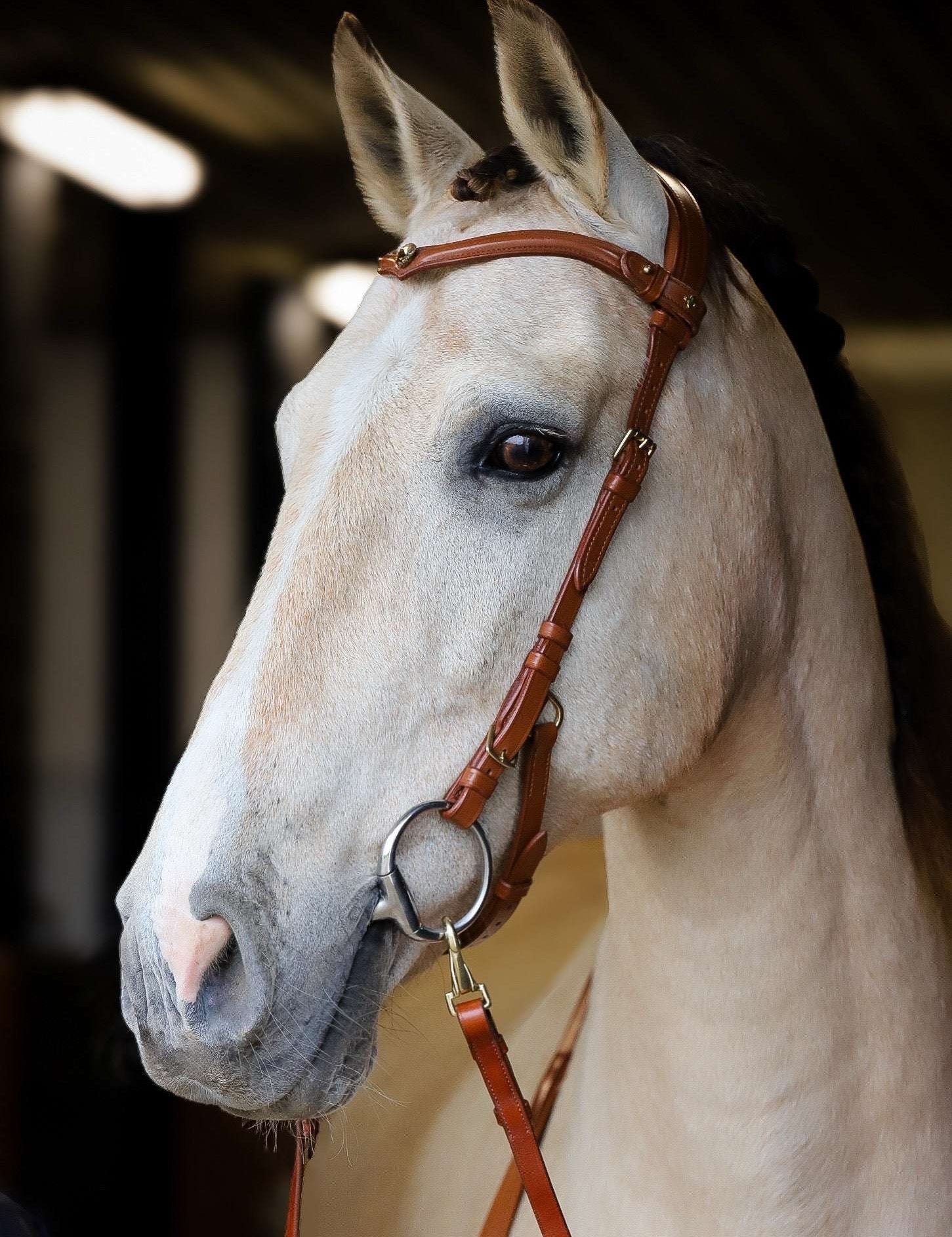 Masego Horsewear Coco Bridle - No Noseband - MASEGO horsewear - Equiluxe Tack