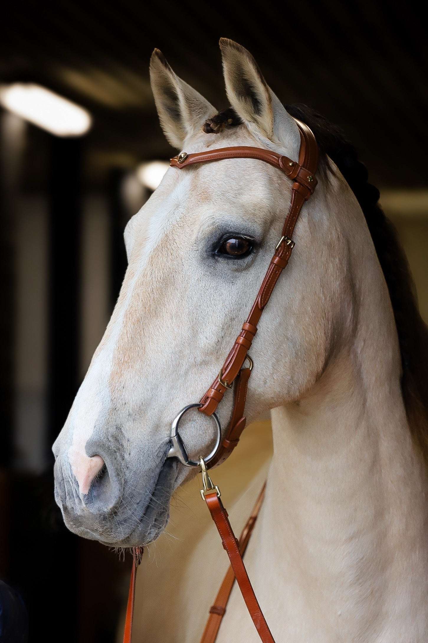 Masego Horsewear Coco Bridle - No Noseband - MASEGO horsewear - Equiluxe Tack