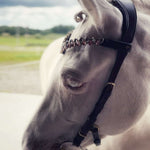 Masego Horsewear Coco Bridle - No Noseband - MASEGO horsewear - Equiluxe Tack