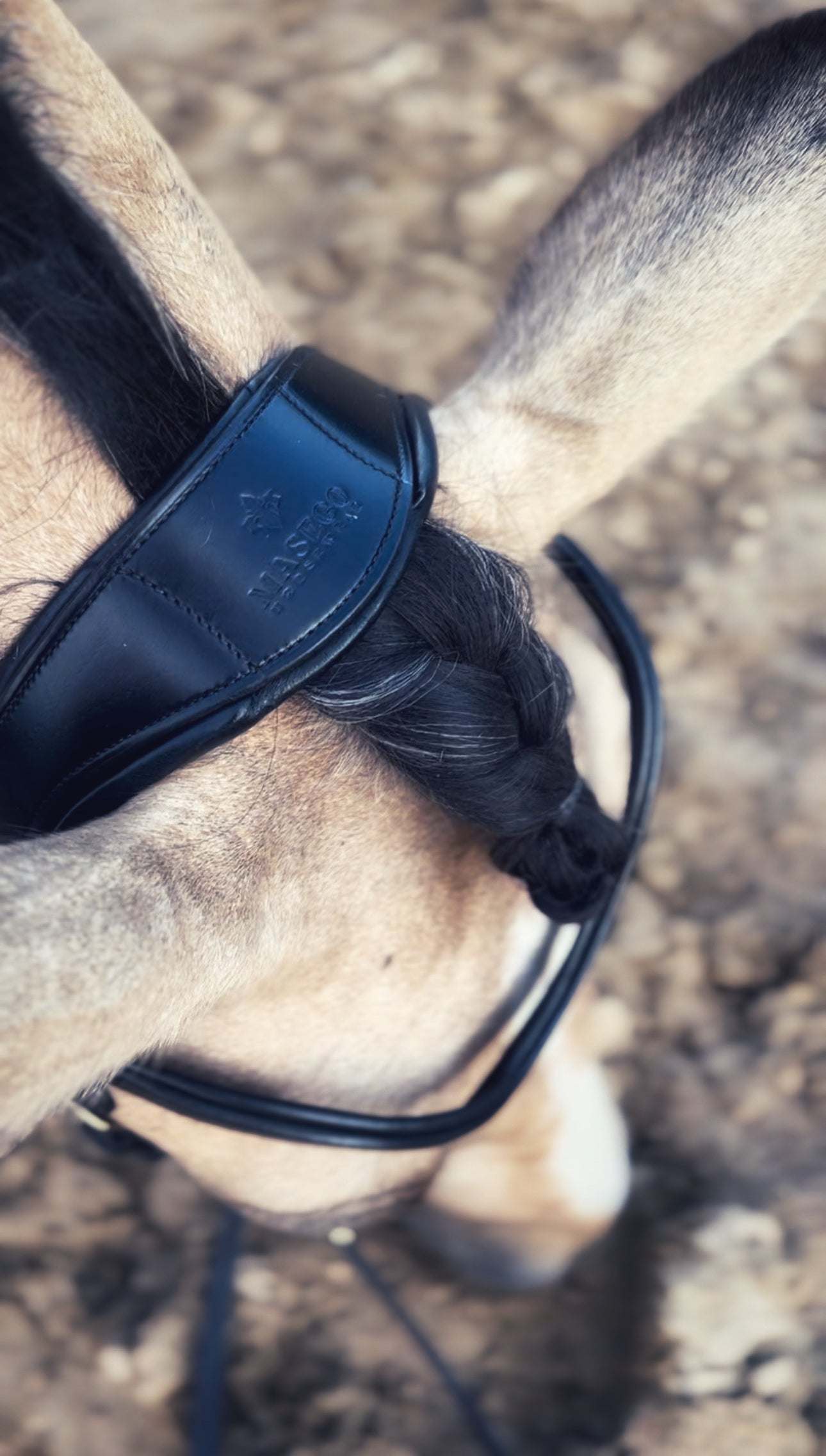 Masego Horsewear Coco Bridle - No Noseband - MASEGO horsewear - Equiluxe Tack