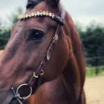 Masego Horsewear Coco Bridle - No Noseband - MASEGO horsewear - Equiluxe Tack