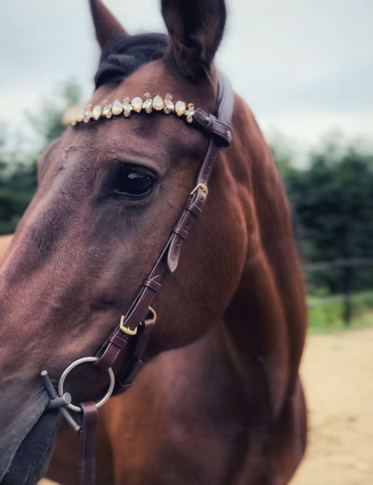 Masego Horsewear Coco Bridle - No Noseband - MASEGO horsewear - Equiluxe Tack