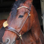 Masego Horsewear Dova Sparkling Sidepull Bridle - MASEGO horsewear - Equiluxe Tack