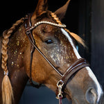 Masego Horsewear Dova Sparkling Sidepull Bridle - MASEGO horsewear - Equiluxe Tack