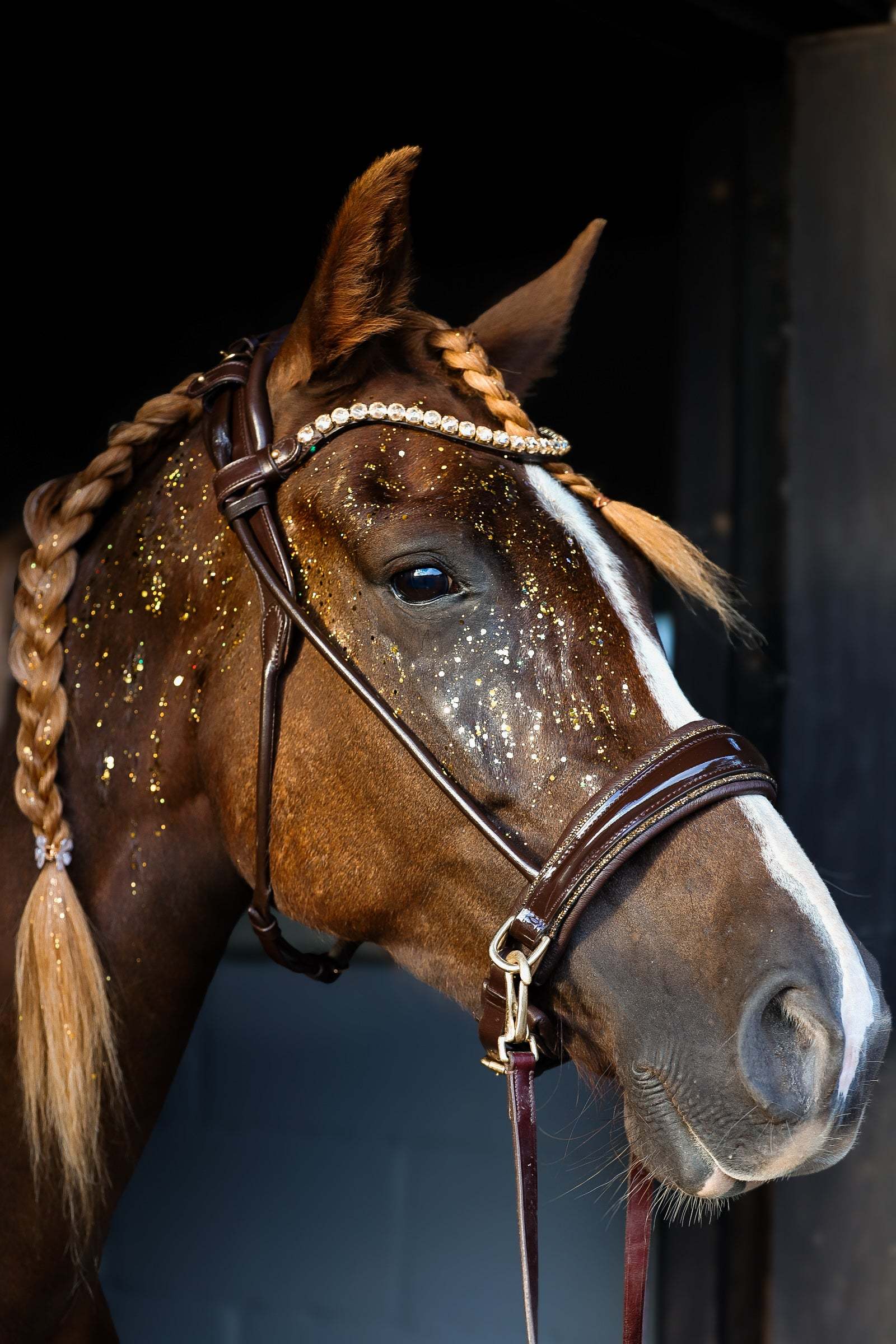 Masego Horsewear Dova Sparkling Sidepull Bridle - MASEGO horsewear - Equiluxe Tack