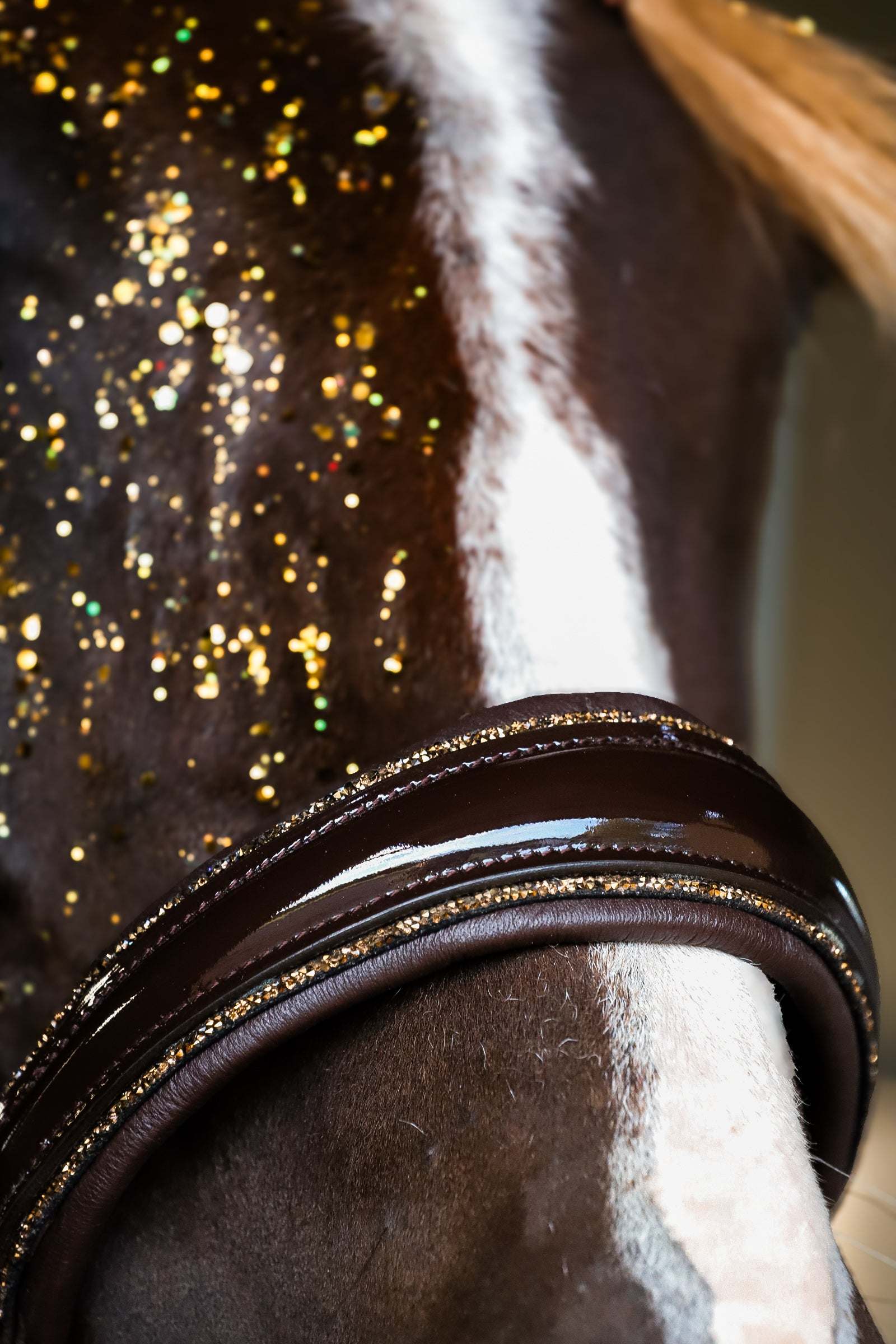 Masego Horsewear Dova Sparkling Sidepull Bridle - MASEGO horsewear - Equiluxe Tack