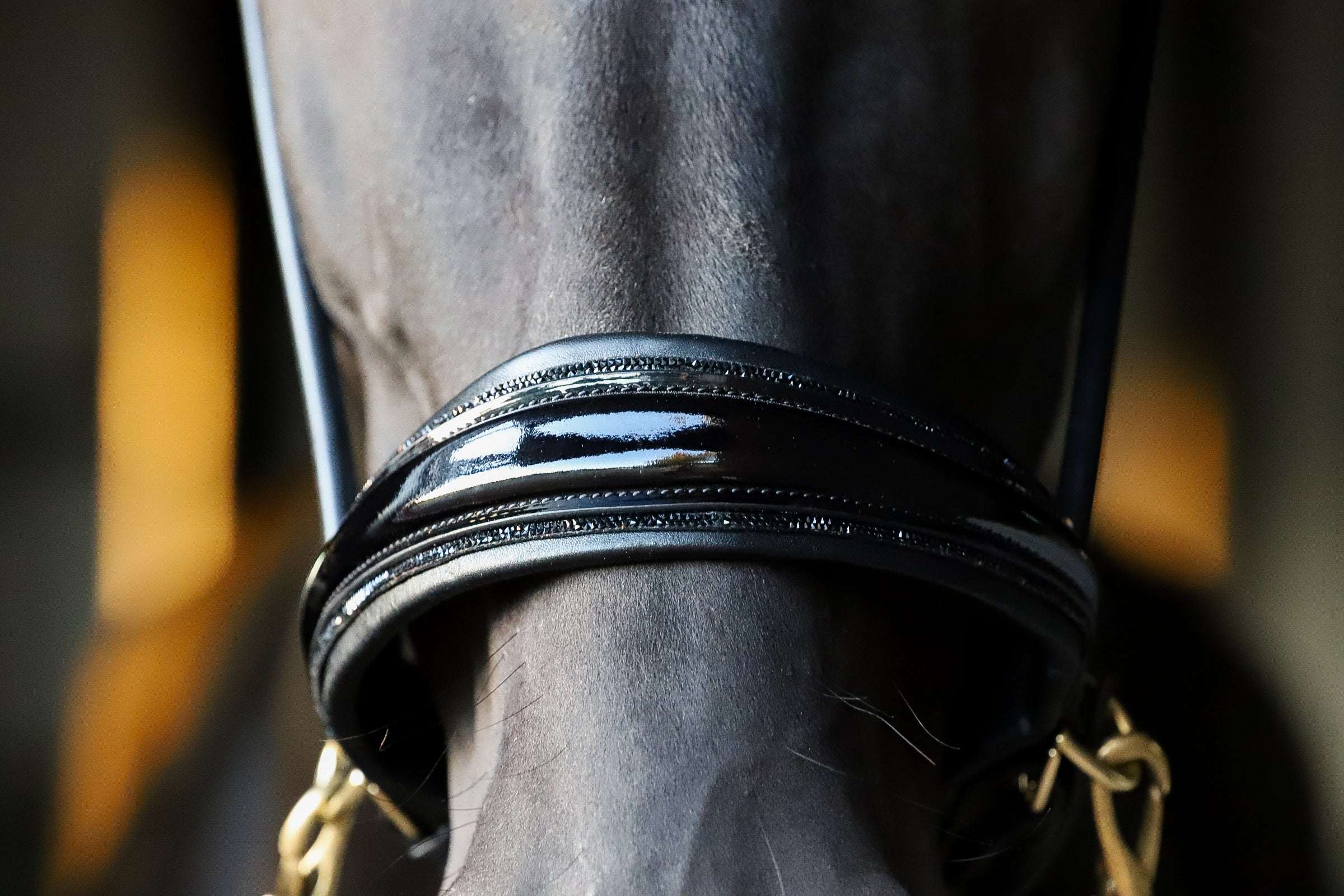 Masego Horsewear Dova Sparkling Sidepull Bridle - MASEGO horsewear - Equiluxe Tack