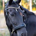Masego Horsewear Dova Sparkling Sidepull Bridle - MASEGO horsewear - Equiluxe Tack