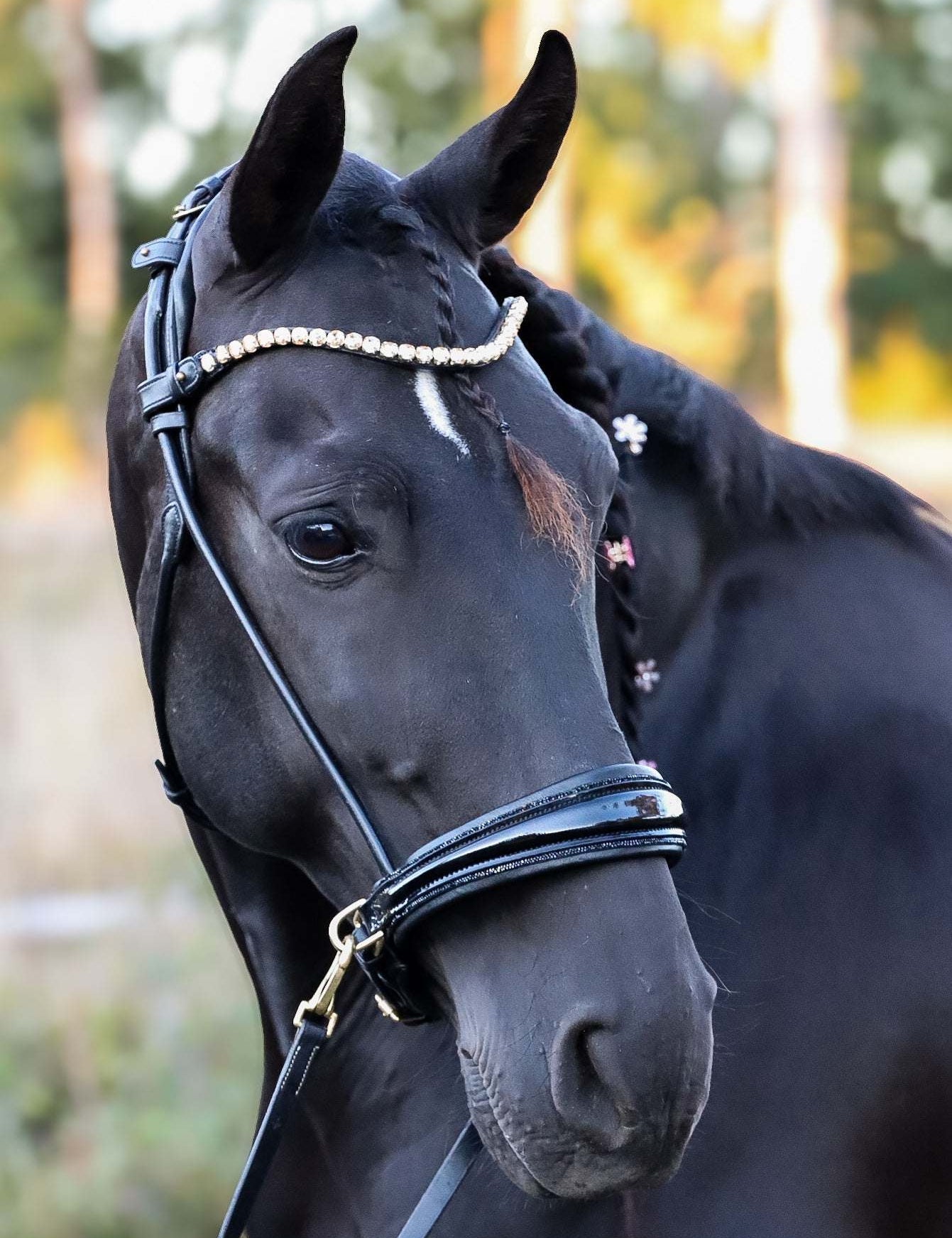 Masego Horsewear Dova Sparkling Sidepull Bridle - MASEGO horsewear - Equiluxe Tack