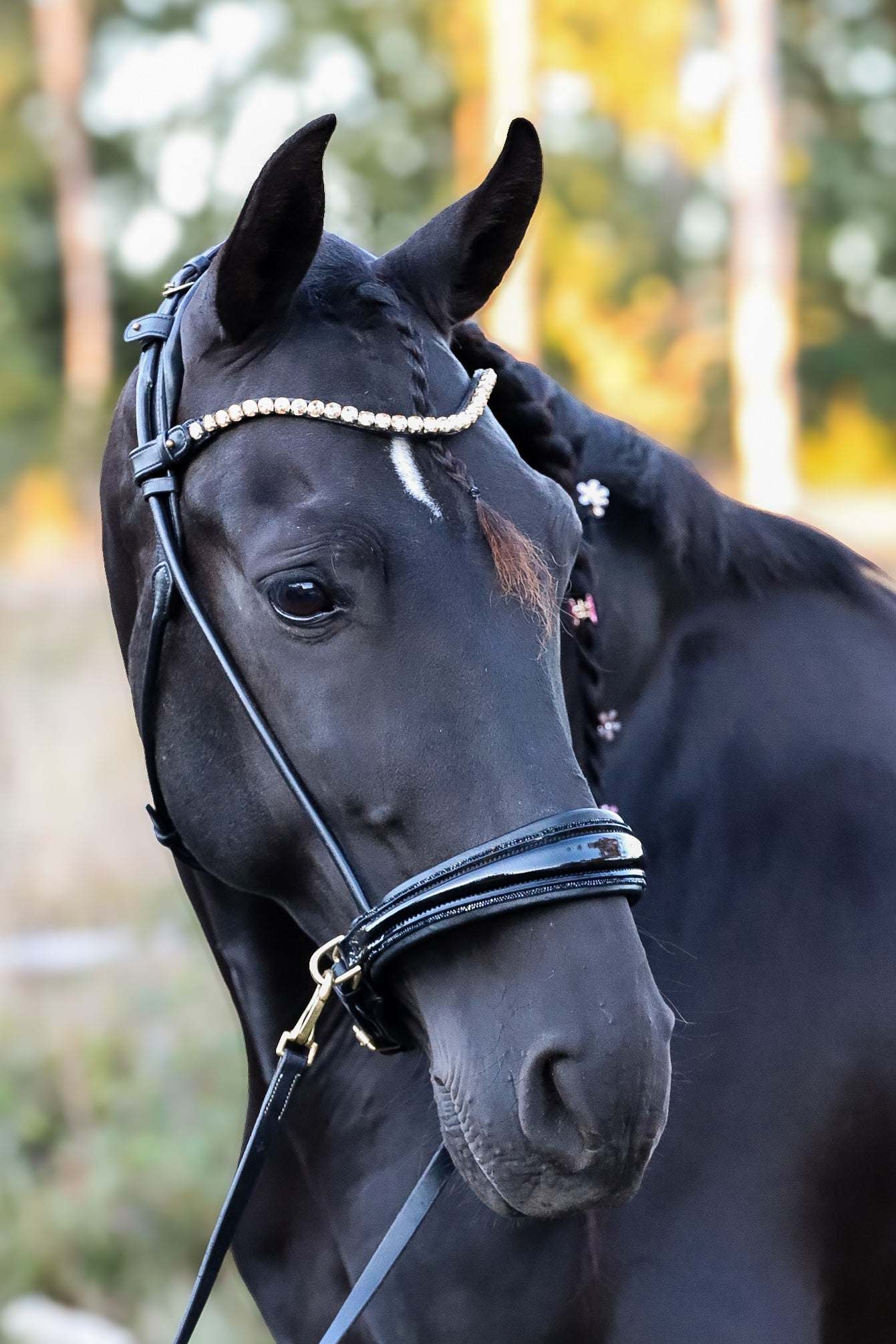 Masego Horsewear Dova Sparkling Sidepull Bridle - MASEGO horsewear - Equiluxe Tack