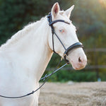 Masego Horsewear Dova Sparkling Sidepull Bridle - MASEGO horsewear - Equiluxe Tack