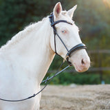 Masego Horsewear Dova Sparkling Sidepull Bridle - MASEGO horsewear - Equiluxe Tack