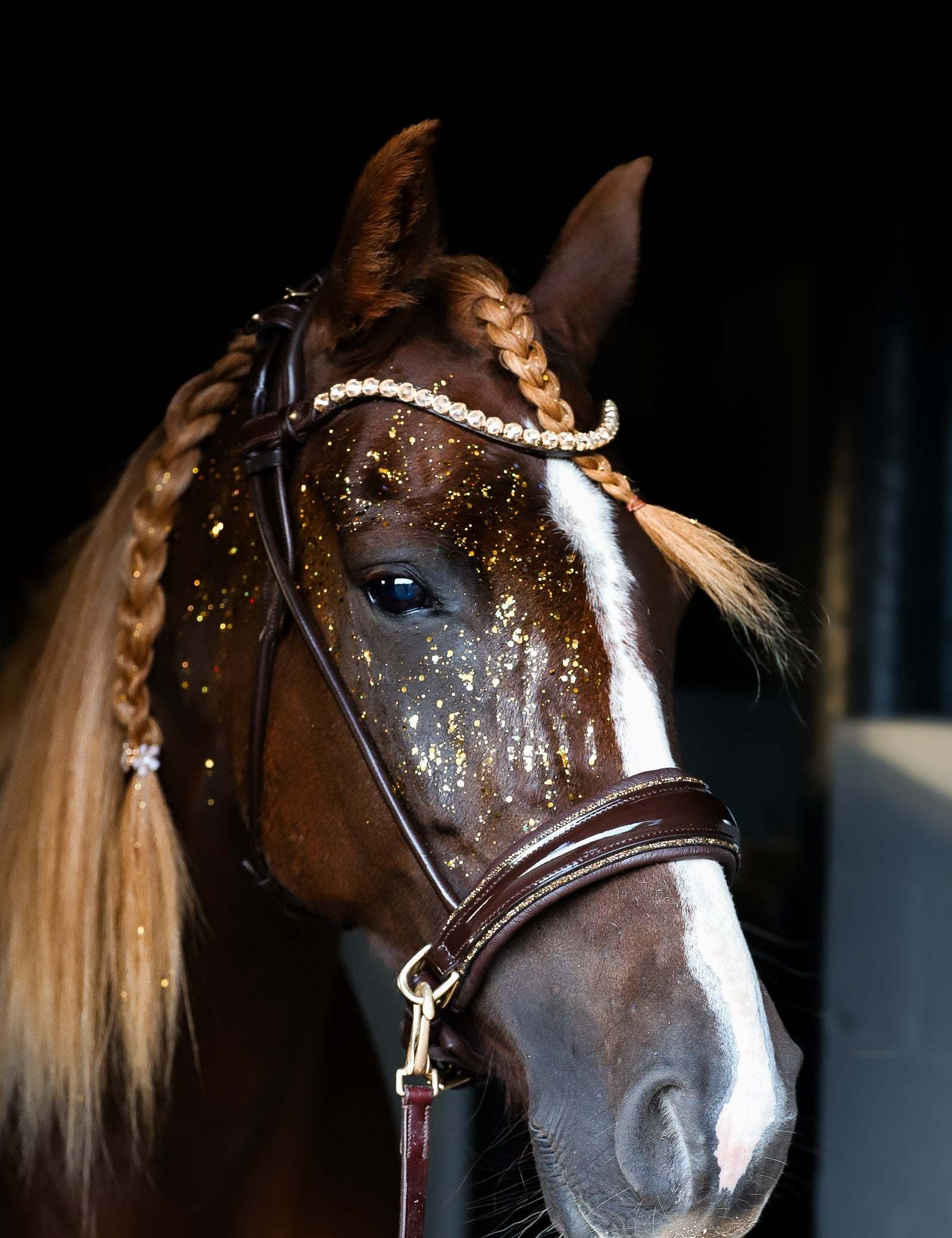 Masego Horsewear Dova Sparkling Sidepull Bridle - MASEGO horsewear - Equiluxe Tack