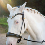 Masego Horsewear Dova Sparkling Sidepull Bridle - MASEGO horsewear - Equiluxe Tack