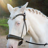 Masego Horsewear Dova Sparkling Sidepull Bridle - MASEGO horsewear - Equiluxe Tack