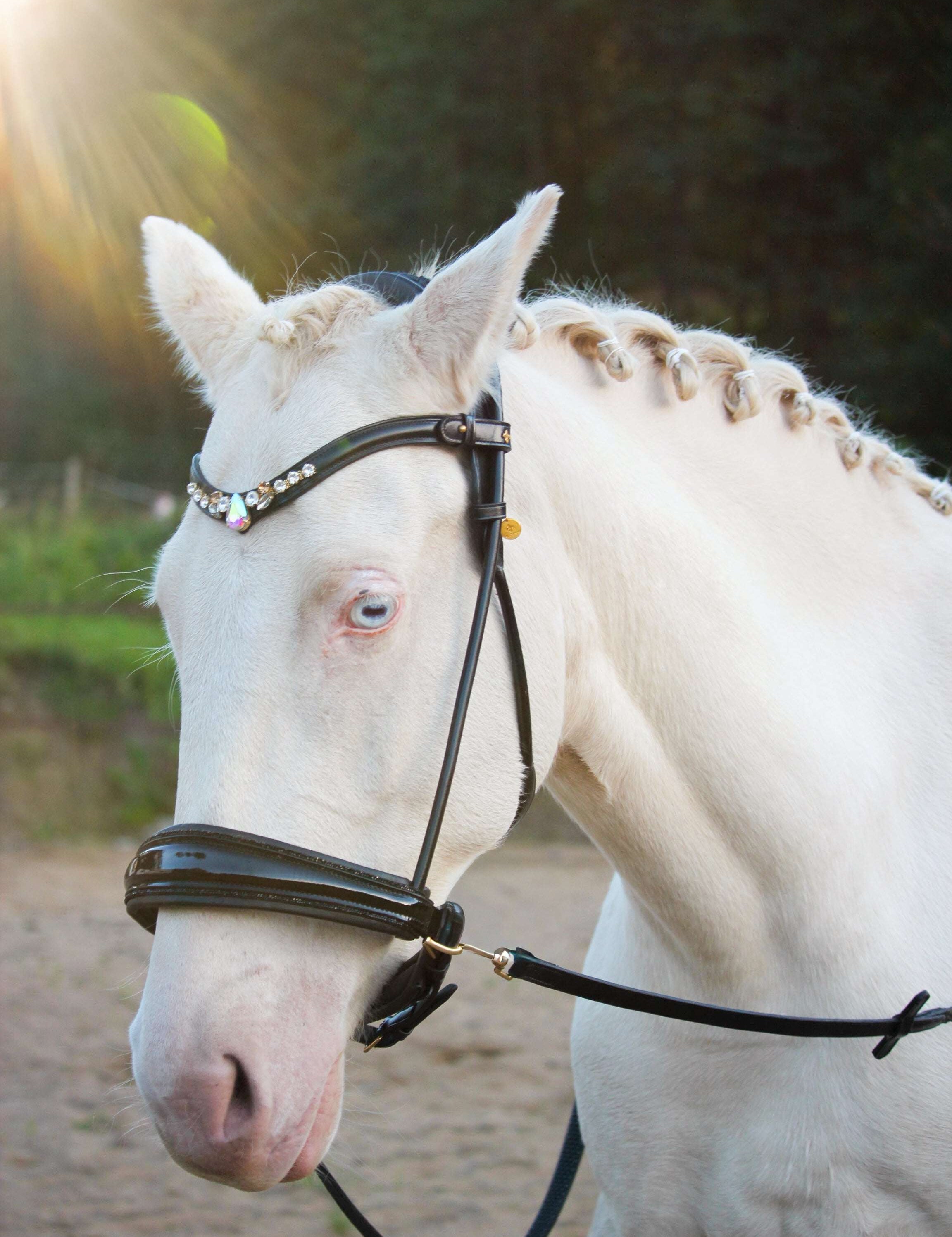 Masego Horsewear Dova Sparkling Sidepull Bridle - MASEGO horsewear - Equiluxe Tack