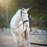 Masego Horsewear Dova Sparkling Sidepull Bridle - MASEGO horsewear - Equiluxe Tack