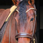 Masego Horsewear Dova Sparkling Sidepull Bridle - MASEGO horsewear - Equiluxe Tack