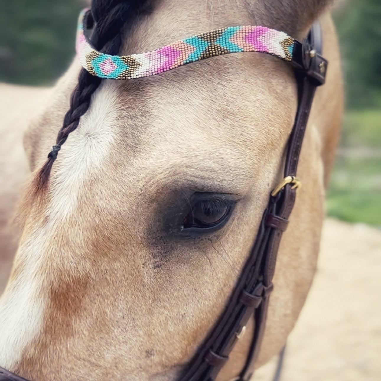 Masego Horsewear Eve Browband - MASEGO horsewear - Equiluxe Tack