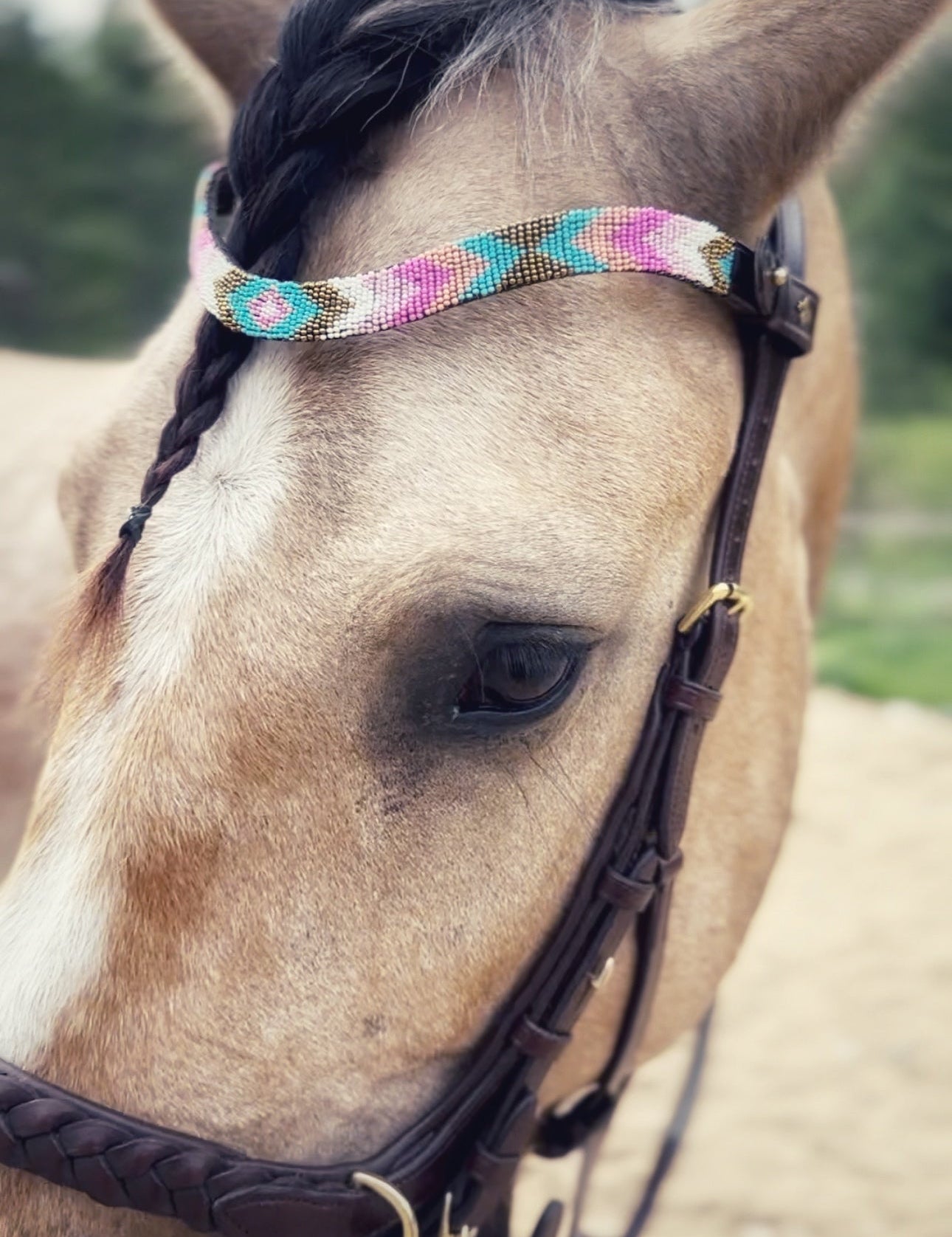 Masego Horsewear Eve Browband - MASEGO horsewear - Equiluxe Tack