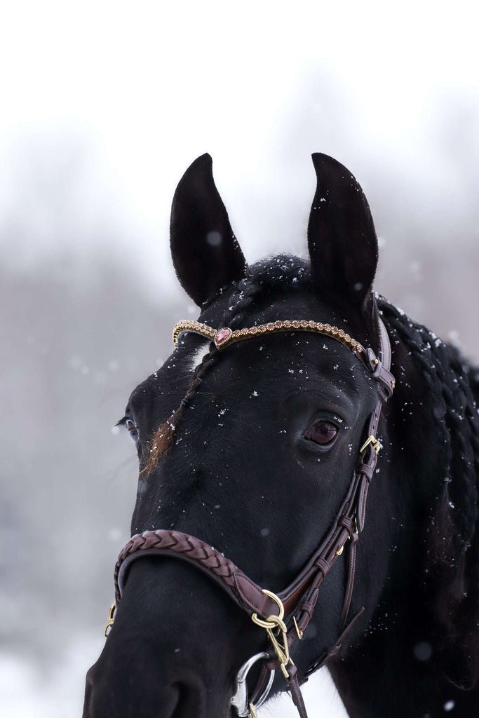 Masego Horsewear Golden Burgundy Browband - MASEGO horsewear - Equiluxe Tack