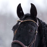 Masego Horsewear Golden Burgundy Browband - MASEGO horsewear - Equiluxe Tack