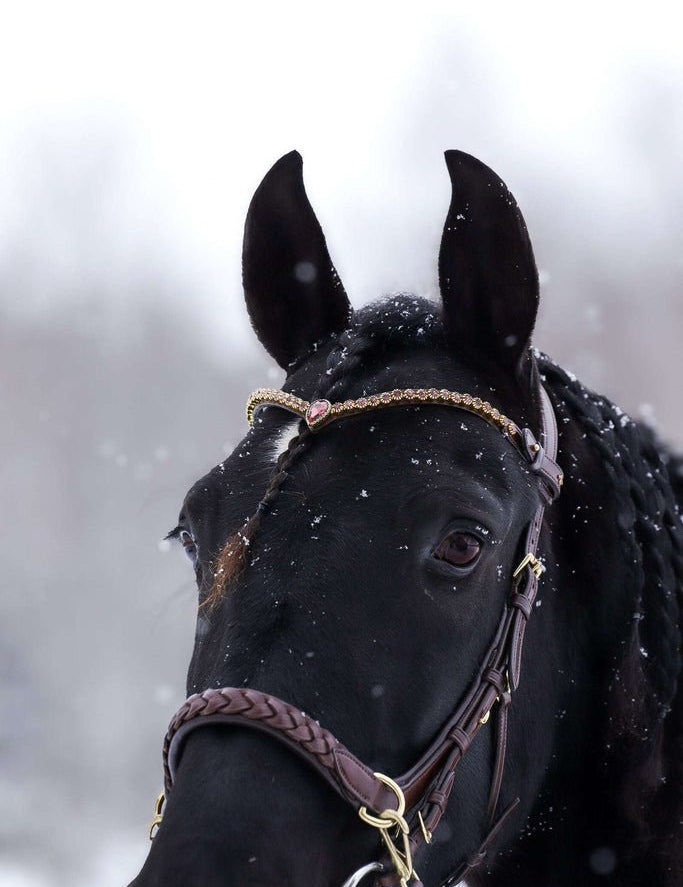 Masego Horsewear Golden Burgundy Browband - MASEGO horsewear - Equiluxe Tack