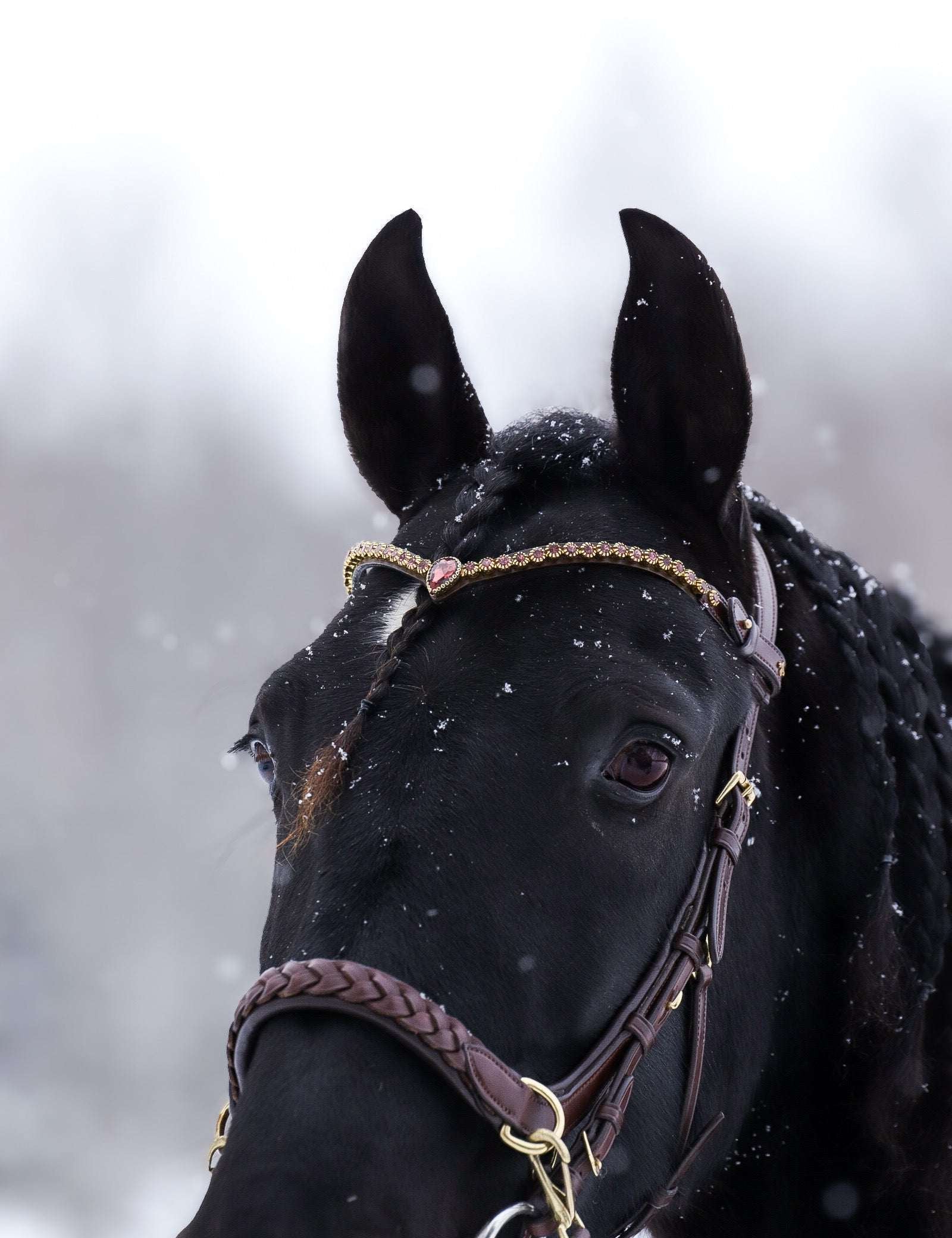 Masego Horsewear Golden Burgundy Browband - MASEGO horsewear - Equiluxe Tack