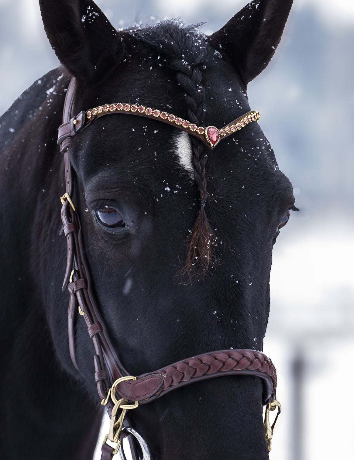 Masego Horsewear Golden Burgundy Browband - MASEGO horsewear - Equiluxe Tack